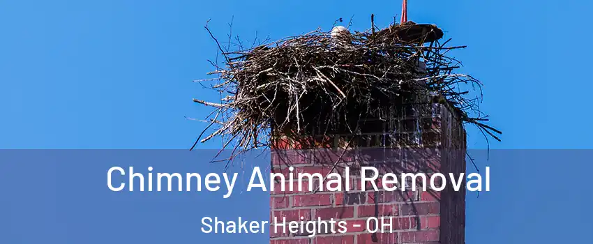 Chimney Animal Removal Shaker Heights - OH