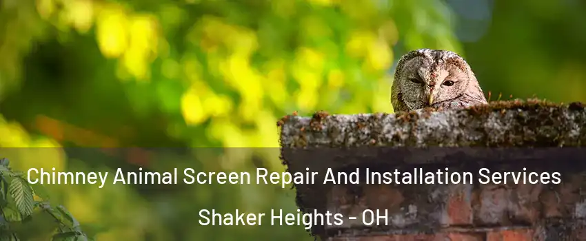  Chimney Animal Screen Repair And Installation Services Shaker Heights - OH