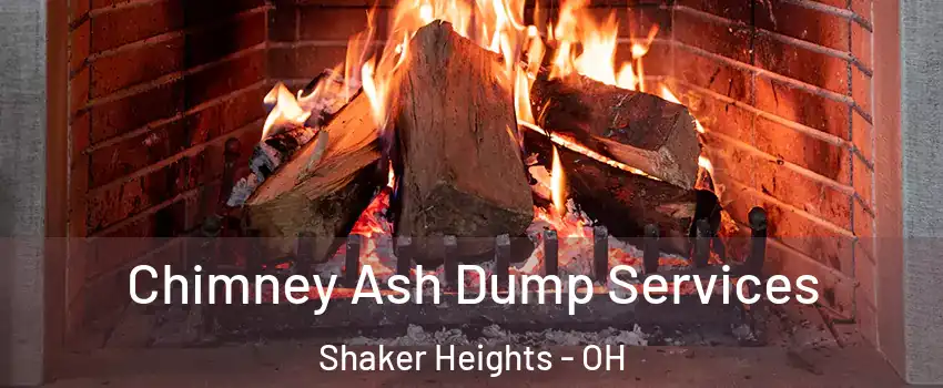  Chimney Ash Dump Services Shaker Heights - OH