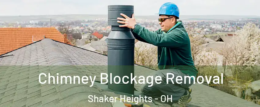  Chimney Blockage Removal Shaker Heights - OH
