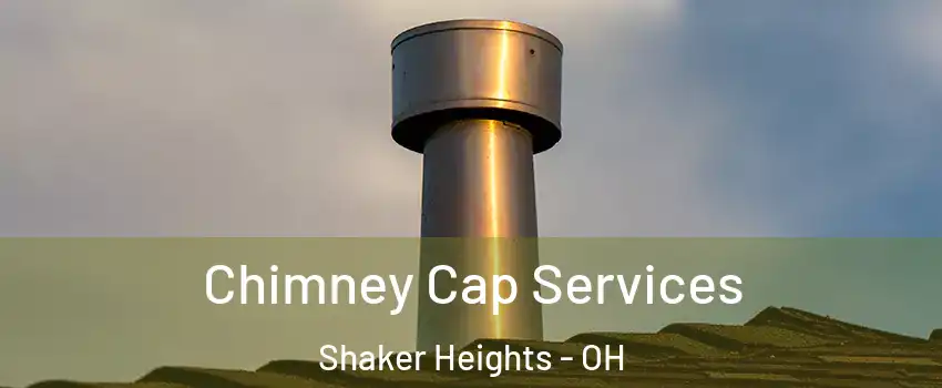  Chimney Cap Services Shaker Heights - OH