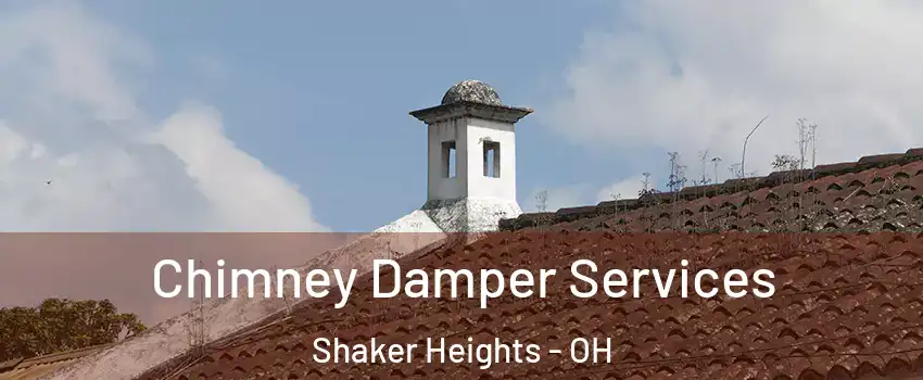  Chimney Damper Services Shaker Heights - OH