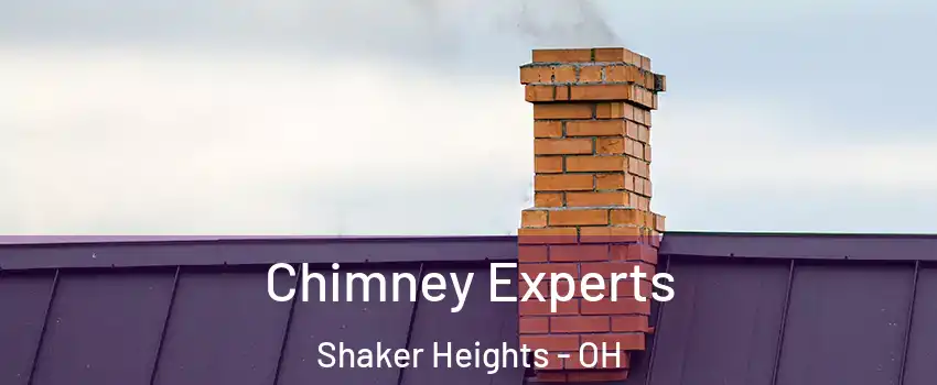 Chimney Experts Shaker Heights - OH