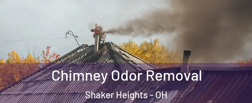  Chimney Odor Removal Shaker Heights - OH