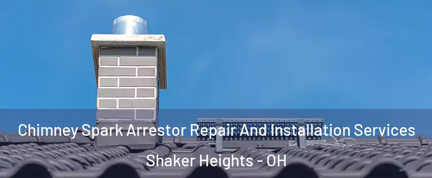  Chimney Spark Arrestor Repair And Installation Services Shaker Heights - OH