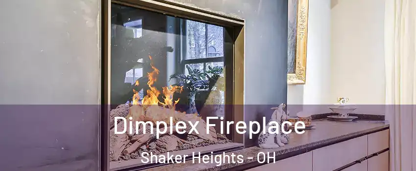  Dimplex Fireplace Shaker Heights - OH