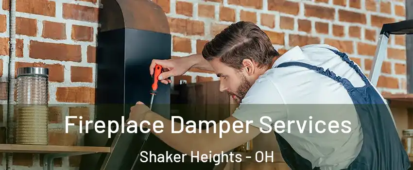  Fireplace Damper Services Shaker Heights - OH