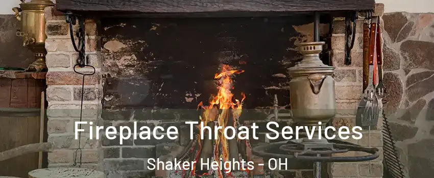  Fireplace Throat Services Shaker Heights - OH