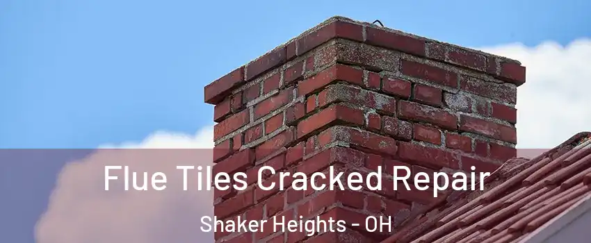  Flue Tiles Cracked Repair Shaker Heights - OH