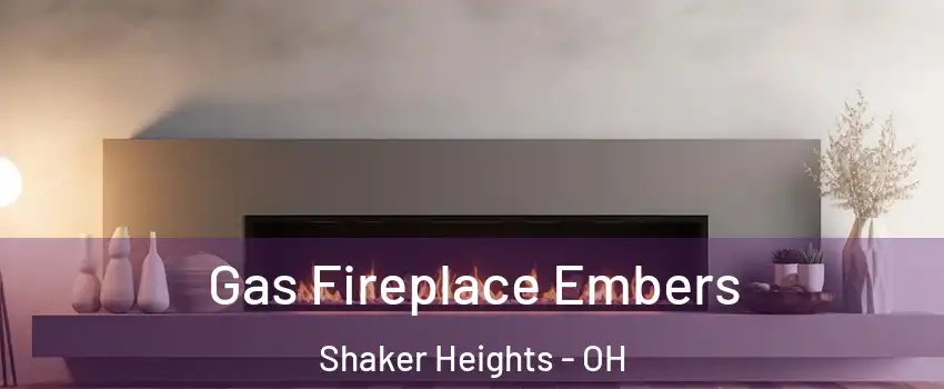  Gas Fireplace Embers Shaker Heights - OH