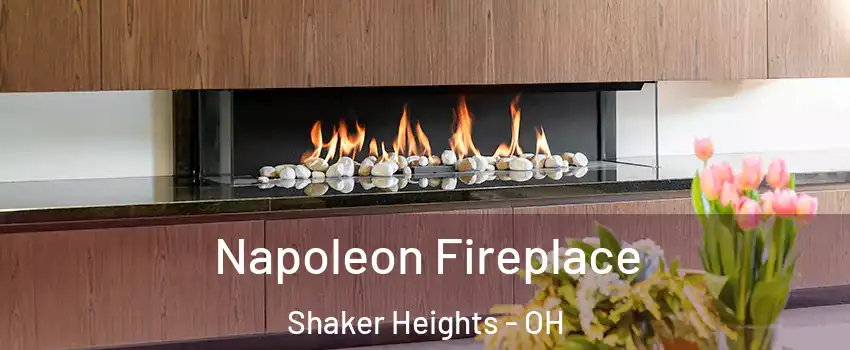  Napoleon Fireplace Shaker Heights - OH