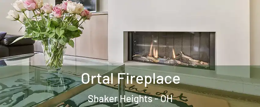  Ortal Fireplace Shaker Heights - OH